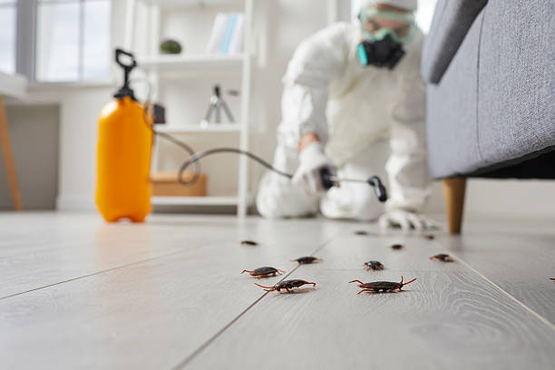 Commercial Kitchen Cockroach Control in Mogadore